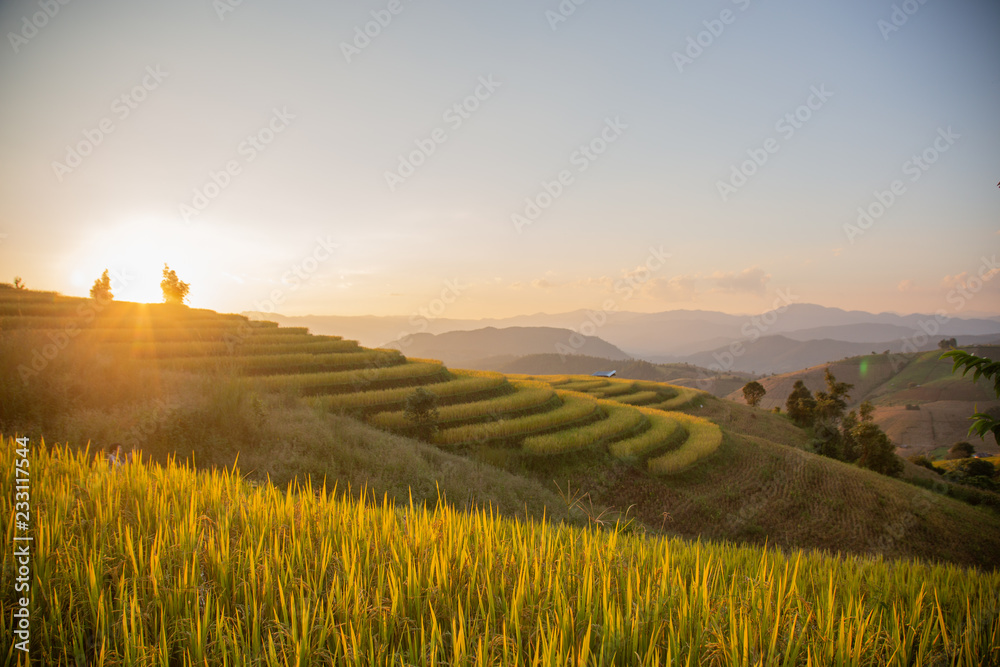 Obraz premium Sunset sky landscape view at yellow and green terraced rice field in Pa Pong Piang , Mae Chaem, Chiang Mai, Thailand .