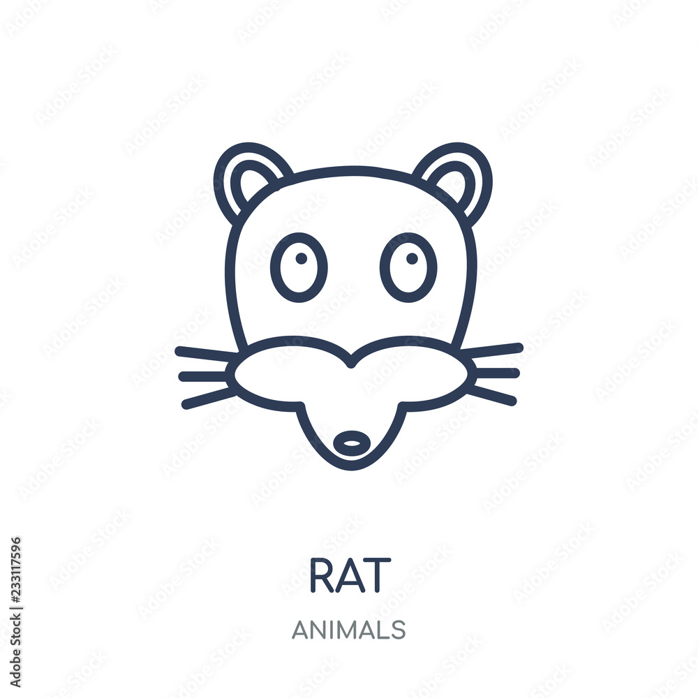Rat icon. Rat linear symbol design from Animals collection.