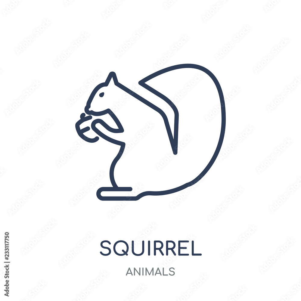 Squirrel icon. Squirrel linear symbol design from Animals collection. Squirrel icon. Squirrel linear symbol design from Animals collection.