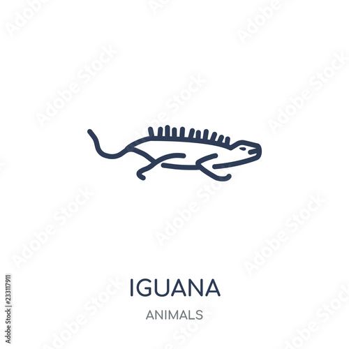 iguana icon. iguana linear symbol design from Animals collection.