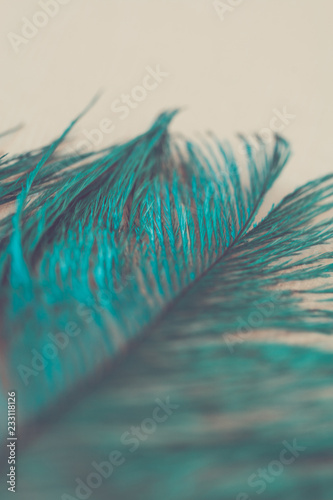 Turquoise Feather Abstract © Jessica