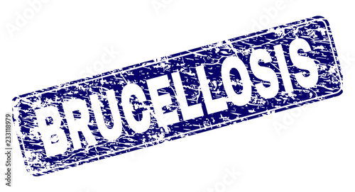 BRUCELLOSIS stamp seal print with grunge style. Seal shape is a rounded rectangle with frame. Blue vector rubber print of BRUCELLOSIS label with scratched style.