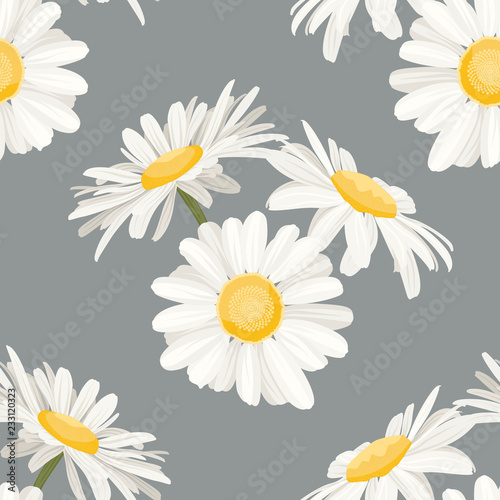 Daisy chamomile field meadow spring summer white yellow flowers seamless pattern on light gray background. Trendy ditsy floral texture for fashion, textile, fabric, print, decoration, wrapping.