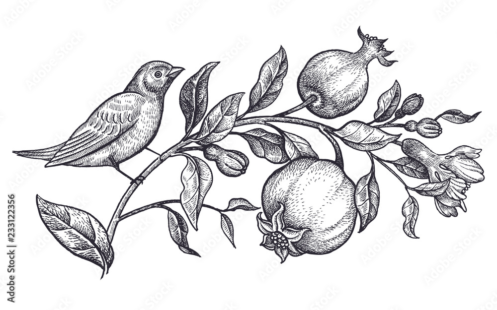 Engraving bird nightingale emblem Royalty Free Vector Image