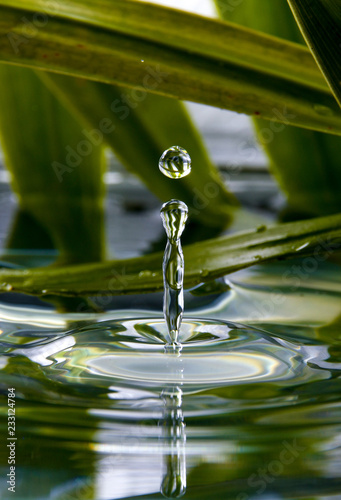 Water droplet falling in clear water and plant environment - portrait orientation