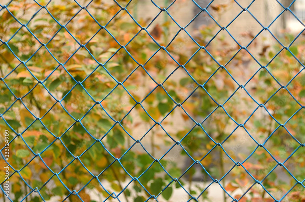 Fototapeta premium Autumn trees can be seen through the bars.