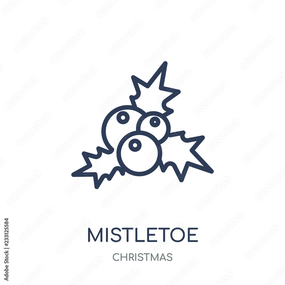 mistletoe icon. mistletoe linear symbol design from Christmas collection.
