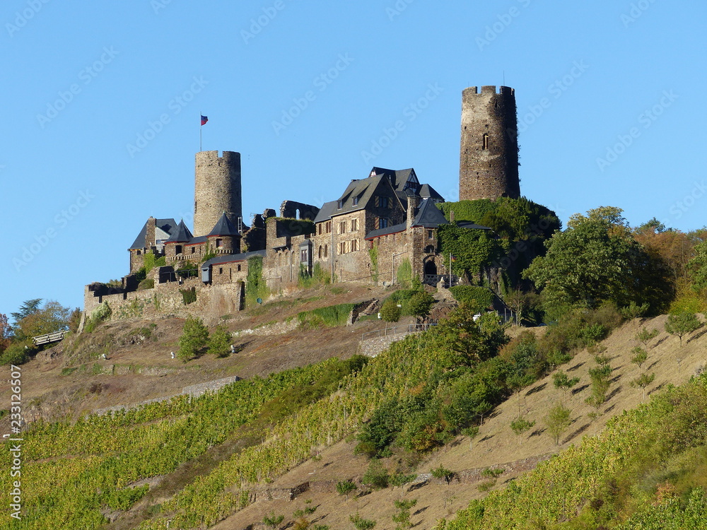 Burg Thurant mit Weinbergen in Alken / Mosel