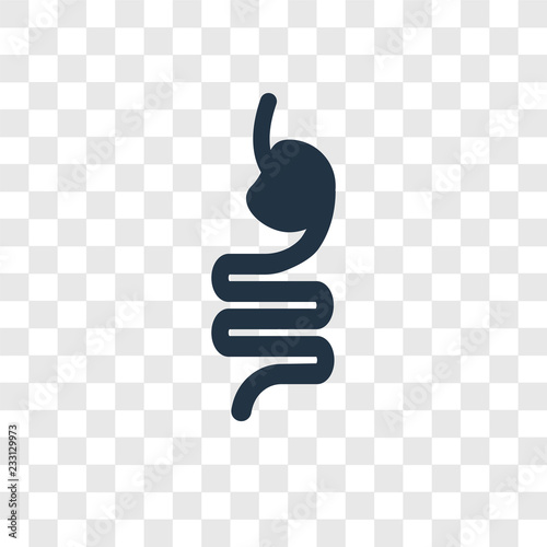 Intestines vector icon isolated on transparent background, Intestines transparency logo design