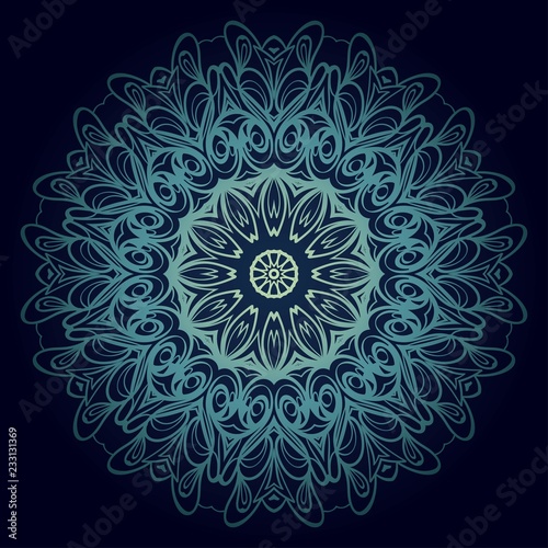 Modern Decorative Cicle Shapes. Floral mandala. vector illustration © Bonya Sharp Claw