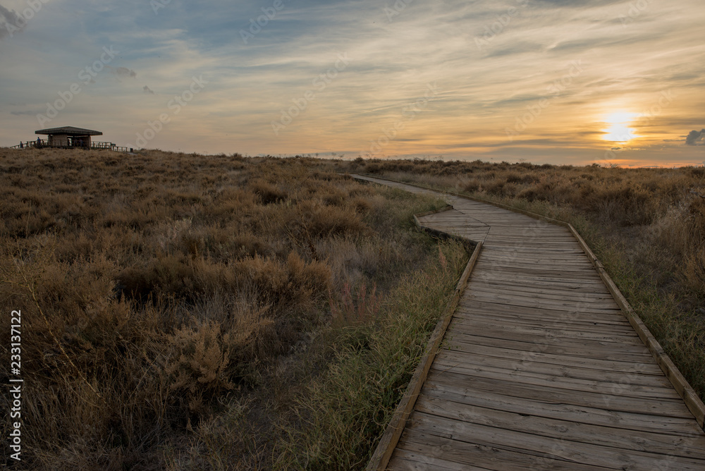 Wooden walk by the boards of daimiel at sunset