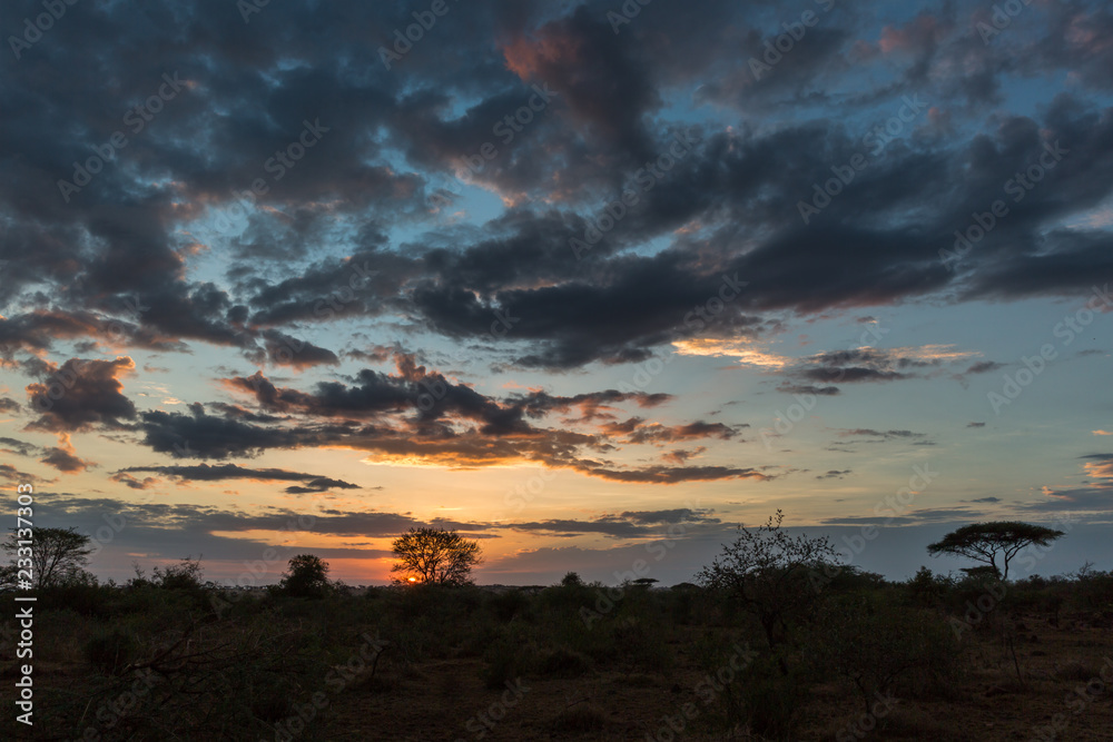 Tansania - Serengeti - Nationalpark