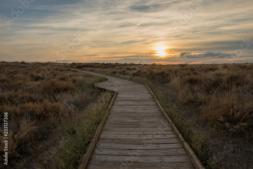 Wooden walk by the boards of daimiel at sunset