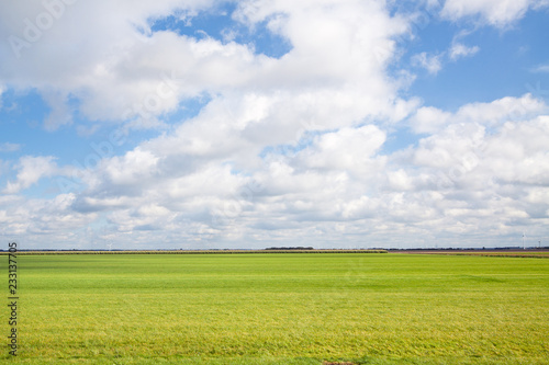 Fototapeta Naklejka Na Ścianę i Meble -  Flat and vibrant green summer polder landscape in The Netherlands. Shot against a blue clouded sky.