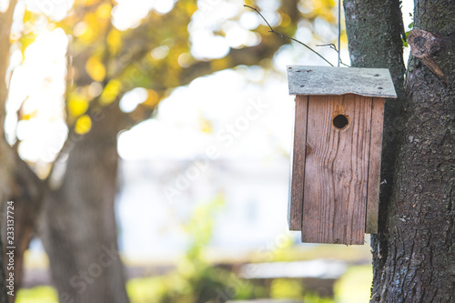 Birdhouse on a tree, autumn