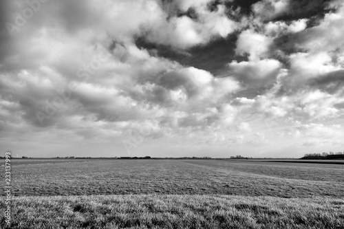 Dramatic flat Dutch polder landscape in black and white with clouds, grass land and trees