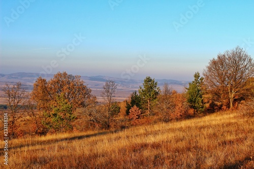 A scenic panoramic view of autumn trees, grass, fields and mountains during sunset at golden hour