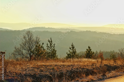 Fototapeta Naklejka Na Ścianę i Meble -  A scenic panoramic view of autumn trees, grass, fields and mountains during sunset at golden hour