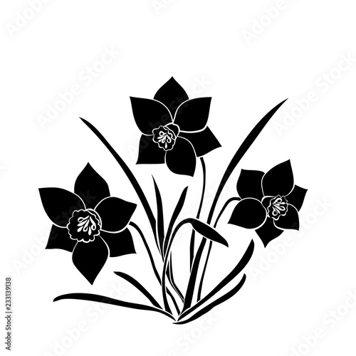 Fototapeta Naklejka Na Ścianę i Meble -  Elegance pattern with flowers narcissus