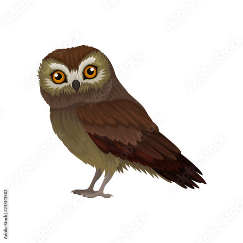 Flat vector icon of northern saw-whet owl. Small wild bird with orange eyes and brown plumage. Wildlife theme