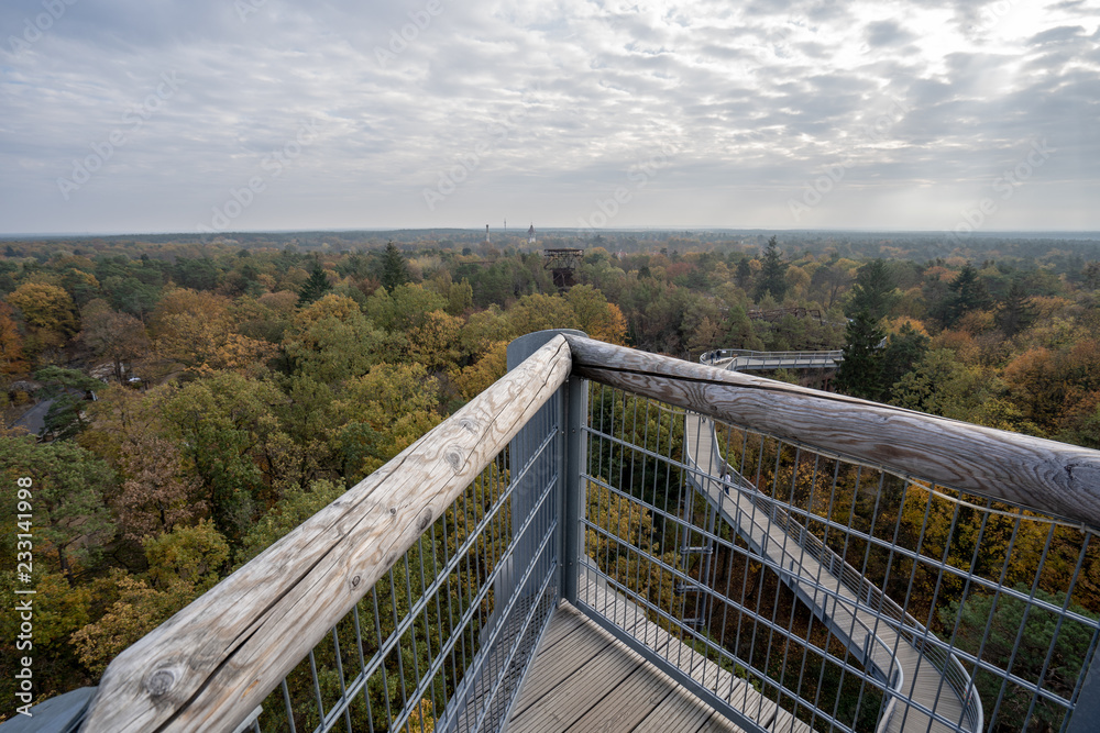 A Treetop Path over the Trees