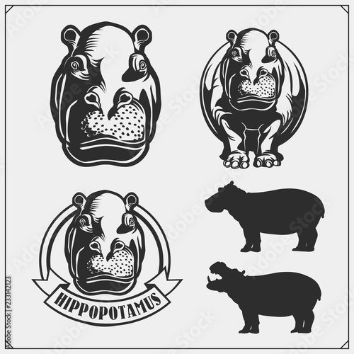 Set of emblems with hippo for a sport team. Print design for t-shirts.