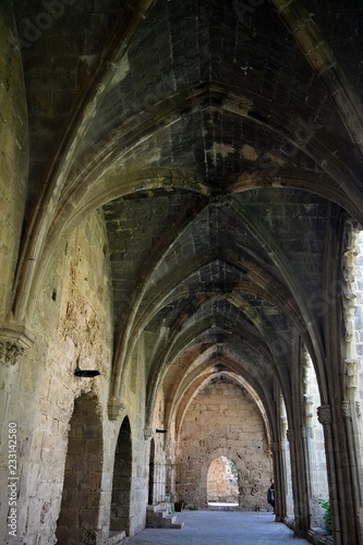 The pointed arch, the flamboyant Gothic style, stone ornaments..The interior is Gothic. Gothic Abbey. Medieval Abbey. Bellapais Abbey. Cyprus