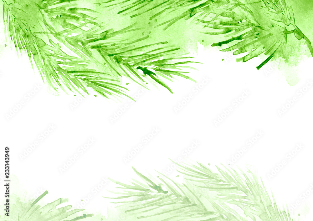 Fototapeta premium Branch of spruce, pine, cedar tree. Painted in watercolor, hand-drawn graphics. On a white background. For postcards, logos, your design. Watercolor Christmas tree branches. Hand painted texture.