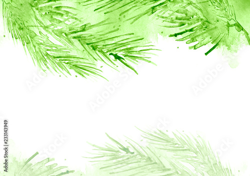 Branch of spruce, pine, cedar tree. Painted in watercolor, hand-drawn graphics. On a white background. For postcards, logos, your design. Watercolor Christmas tree branches. Hand painted texture.