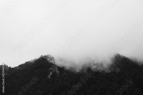 fog in the mountains