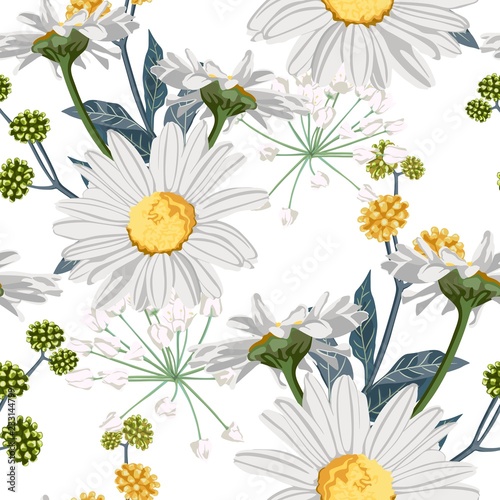 Floral seamless pattern with summer yellow herbs and chamomile (camomile) flowers. White background.