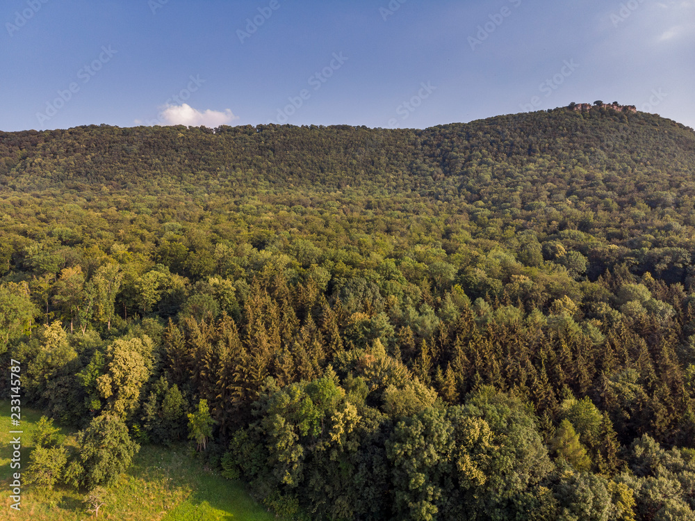 Waldlandschaft - Luftaufnahme