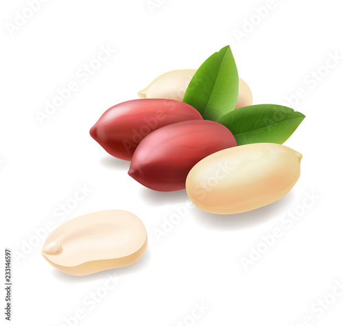 Peanuts realistic illustration icon