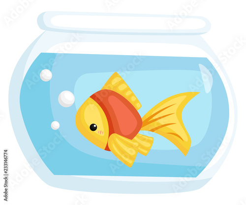 a vector of a goldfish in an aquarium