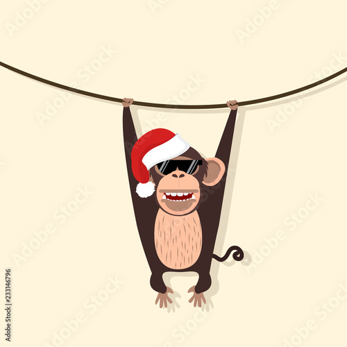 monkey wear hat christmas climbing the vine