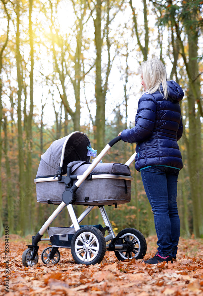Woman with baby stroller in autumn park. Woman with baby stroller in autumn park.