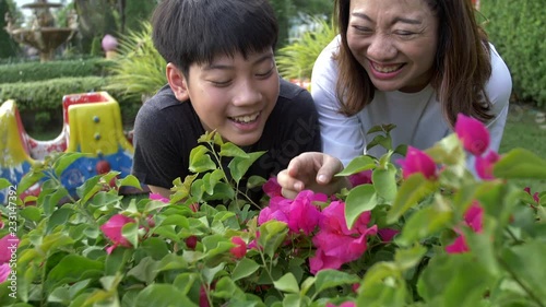 Happy asian family mother and son looking at pink flower . Recorded hand-held in slow motion at 4K at 60fps.