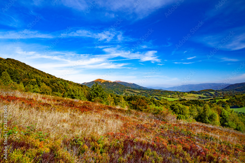 Fototapeta premium Landscape of autumnal peaks of the Carpathians.