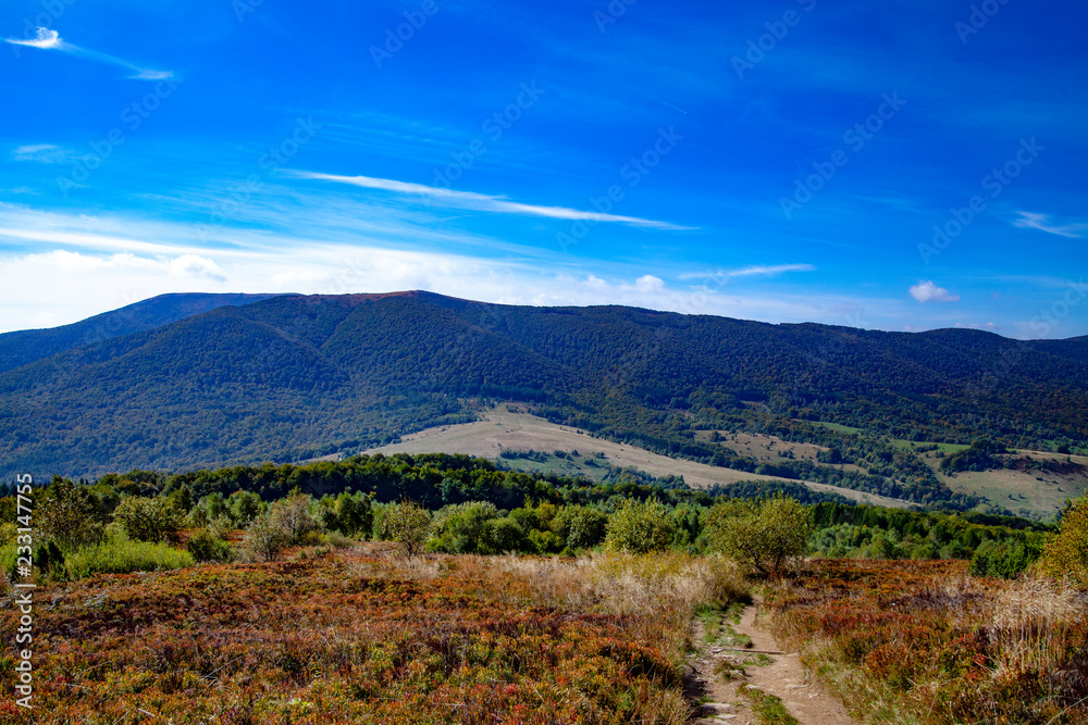 Fototapeta premium Landscape of autumnal peaks of the Carpathians.