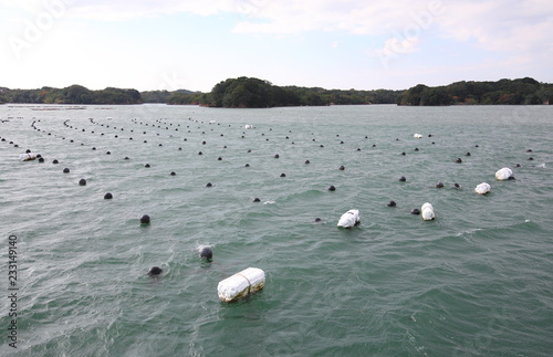 Canvas-taulu Ago bay island landscape and Pearl aqua farming cultivation Shima Japan
