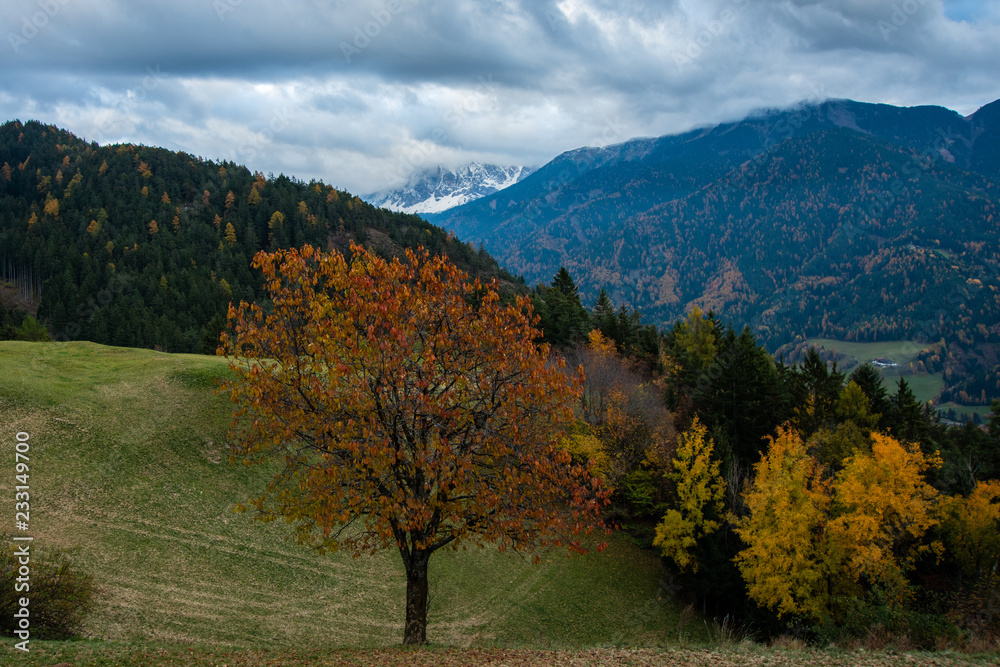 Autumn landscape Autumn landscape