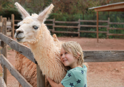 Petit garçon fait un câlin à lama photo