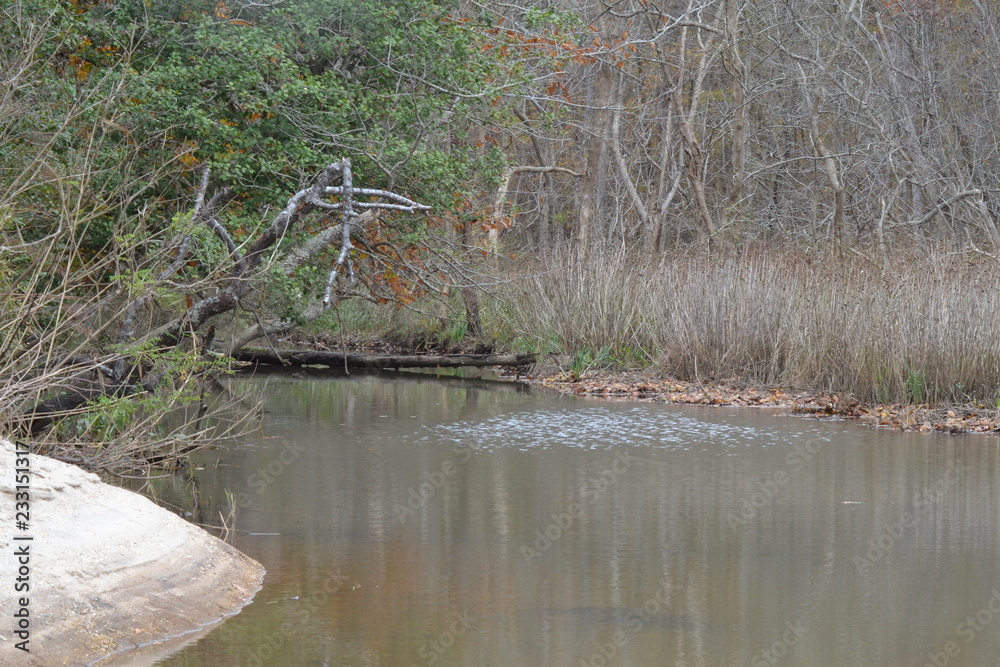 creek grass water fall