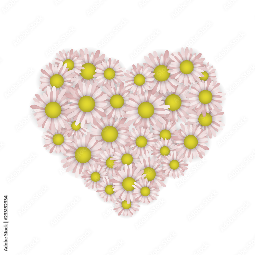 Camomiles in the shape of a heart. Camomiles in the shape of a heart.