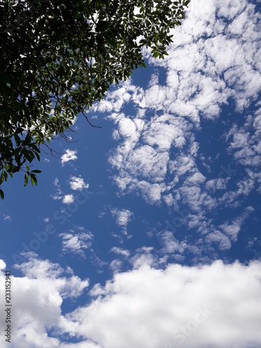 Cuadro en lienzo Céu, nuvens, natureza, paisagens, ar livre
