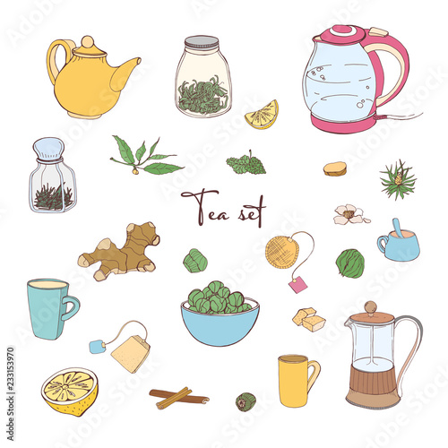 Collection of tools for tea preparation and drinking isolated on white background - teapot, cups and mugs, electric kettle, lemon, spices. Colorful vector illustration in hand drawn realistic style.