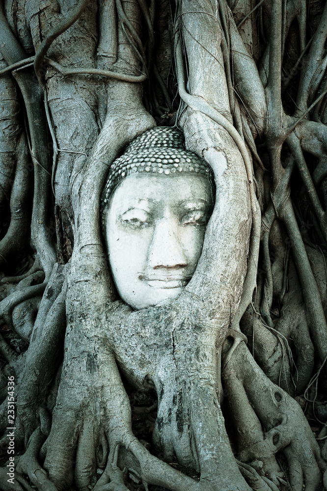 Buddha face. Stone murals and sculptures in Angkor wat, Cambodia