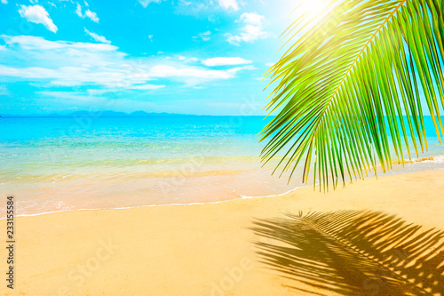 Fototapeta Naklejka Na Ścianę i Meble -  Beautiful sunny beach. View of nice tropical beach with palms around. Holiday and Vacation concept