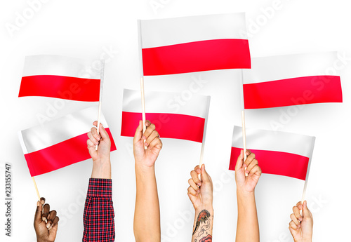 Hands waving the flags of Poland photo