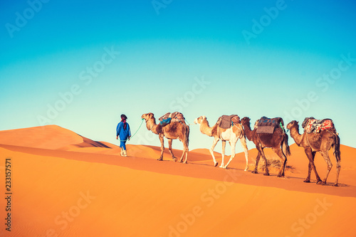 Camel caravan on the Sahara